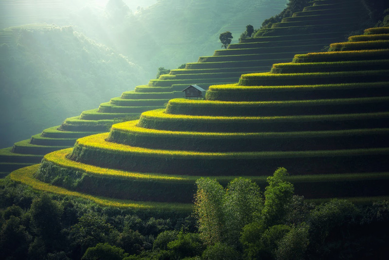 layered green hillside with small hut