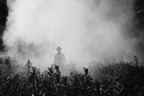 man in smoke filled woods