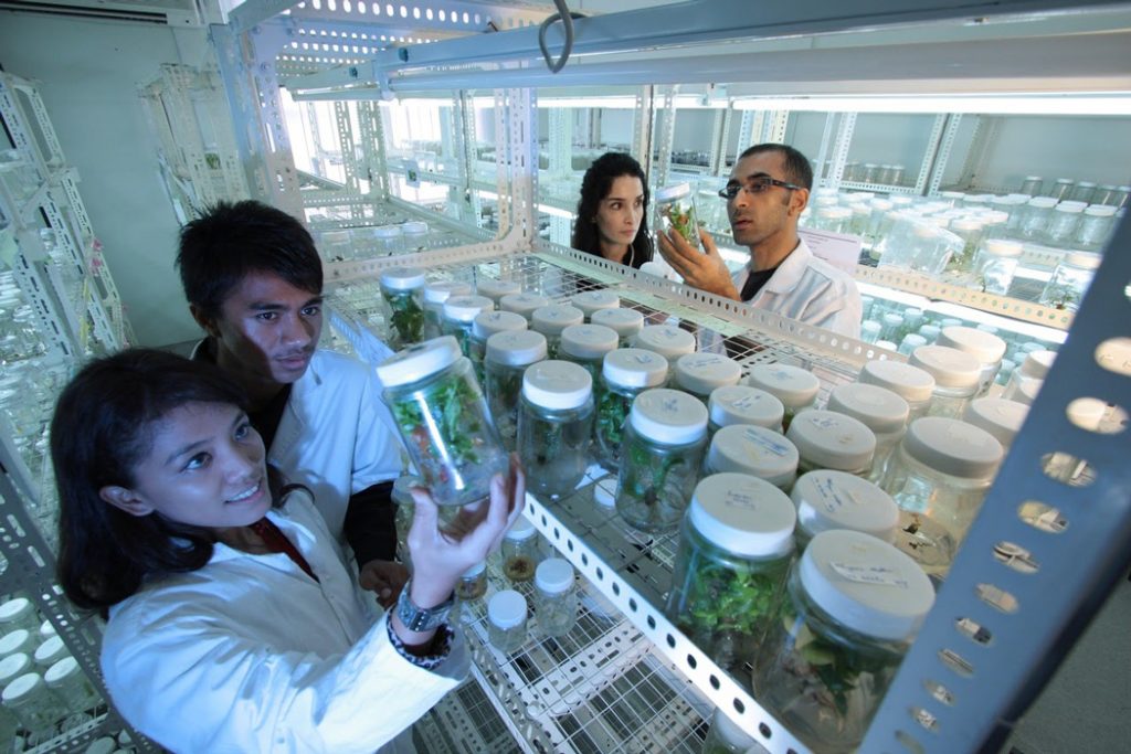 scientists examining kratom pharmacology