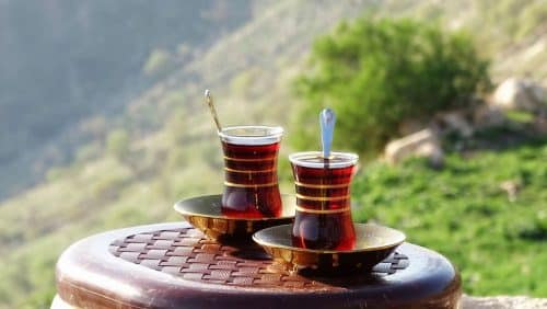 Iraq's long history of herbal medicine
