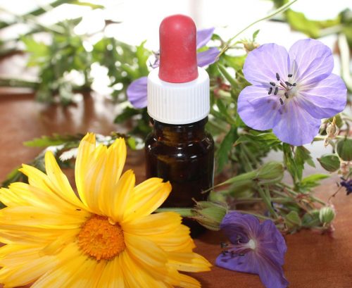 importance of herbal medicine tinctures